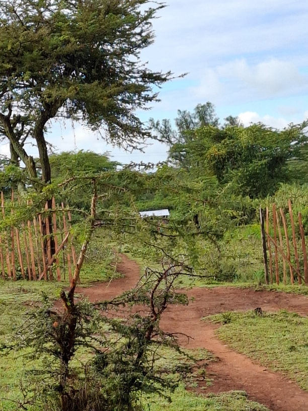 maralal rains 2025 – lanscape2