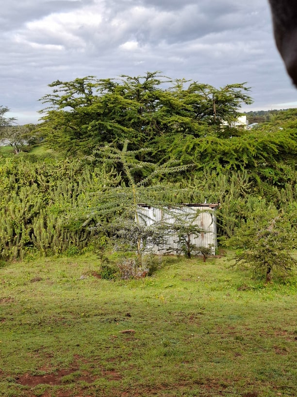 maralal rains 2025 – lanscape3